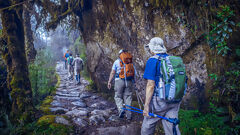 Camino Inca