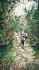 Camino Inca